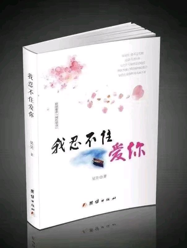 【昊昊海峡新干线副刊】默默祈福 让阳光永驻你心里/踏着新年的钟声日夜兼程（作者：昊昊/中国台湾）……莲叶之珠文学社（图7）