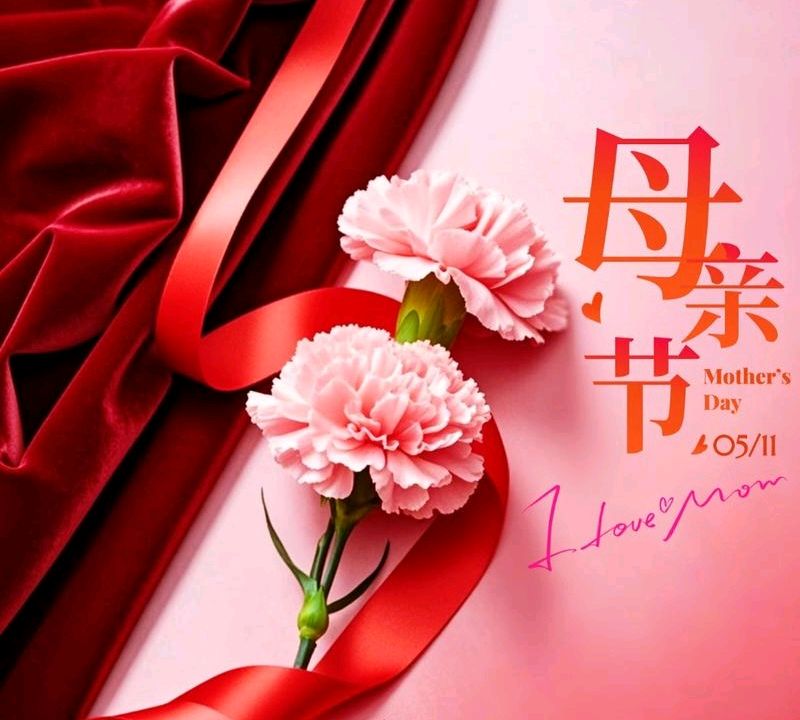 《中华好诗词》分享（广东）优秀诗人林建军先生《母爱温暖而绵长》请欣赏（图4）
