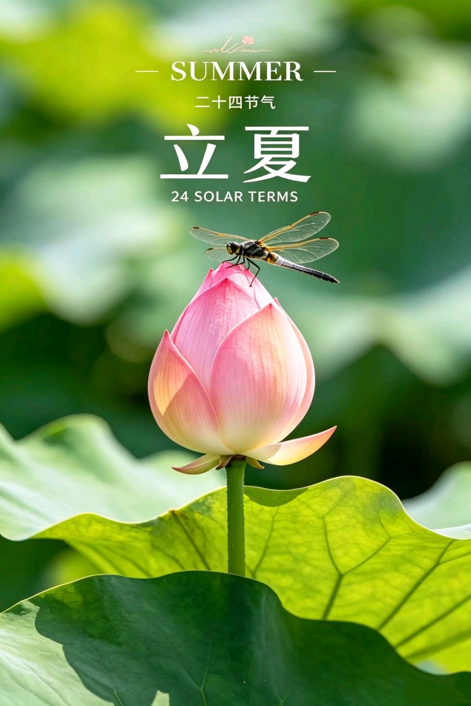推荐丨辉叔（许日辉）暮春、立夏时节七绝（24首）（图5）