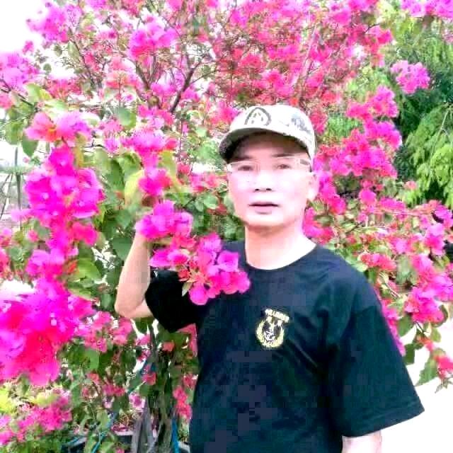 推荐丨辉叔（许日辉）暮春、立夏时节七绝（24首）（图6）