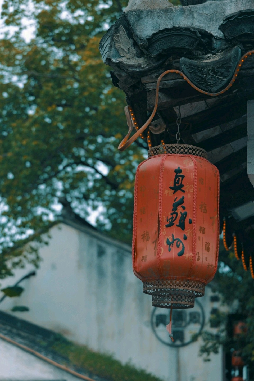 🇨🇳【中国诗人】第1427篇（名家风采）平江夏初闲度//文:姑射（图5）
