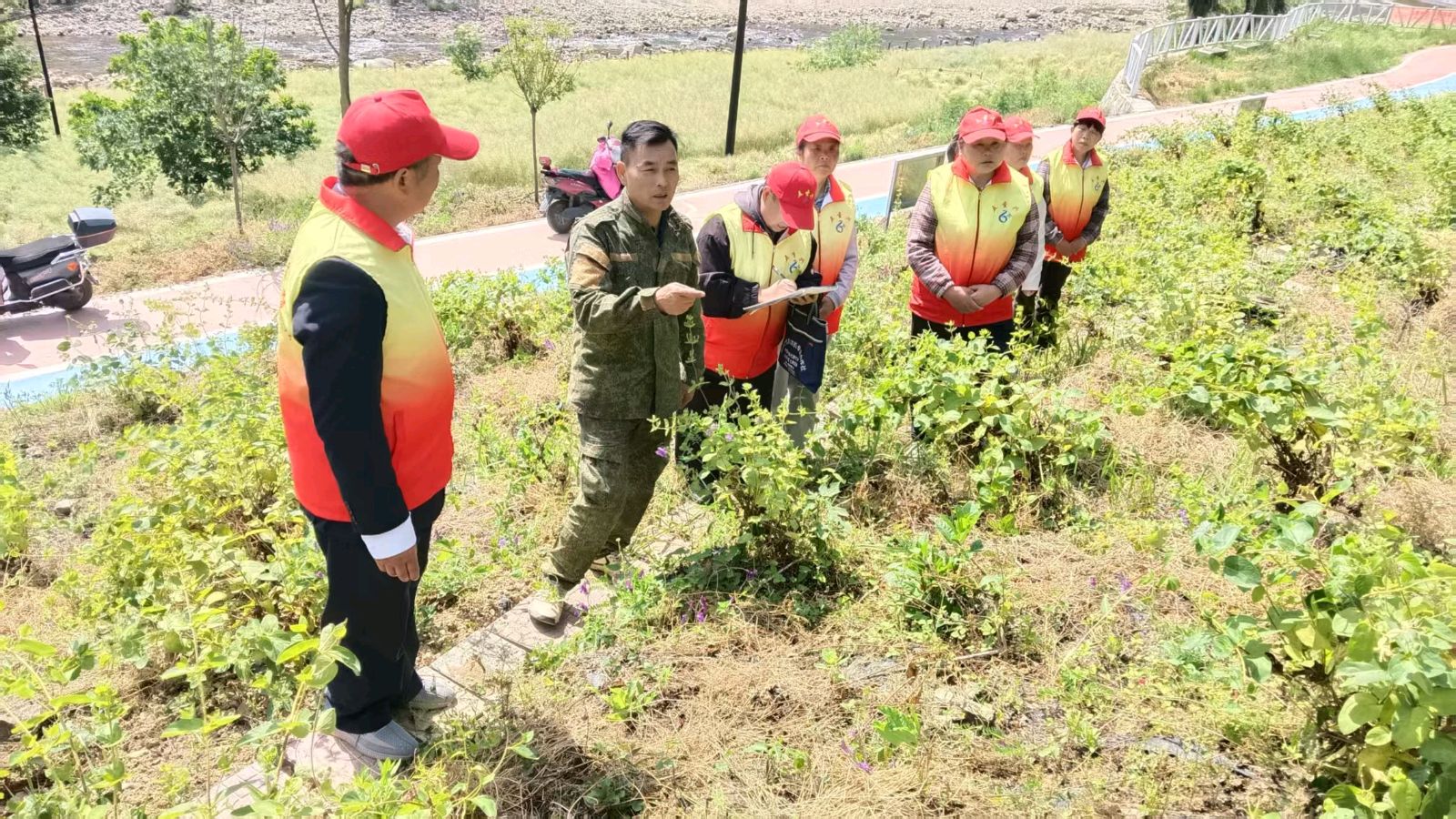 情系金银花基地 赋能乡村兴产业（图2）