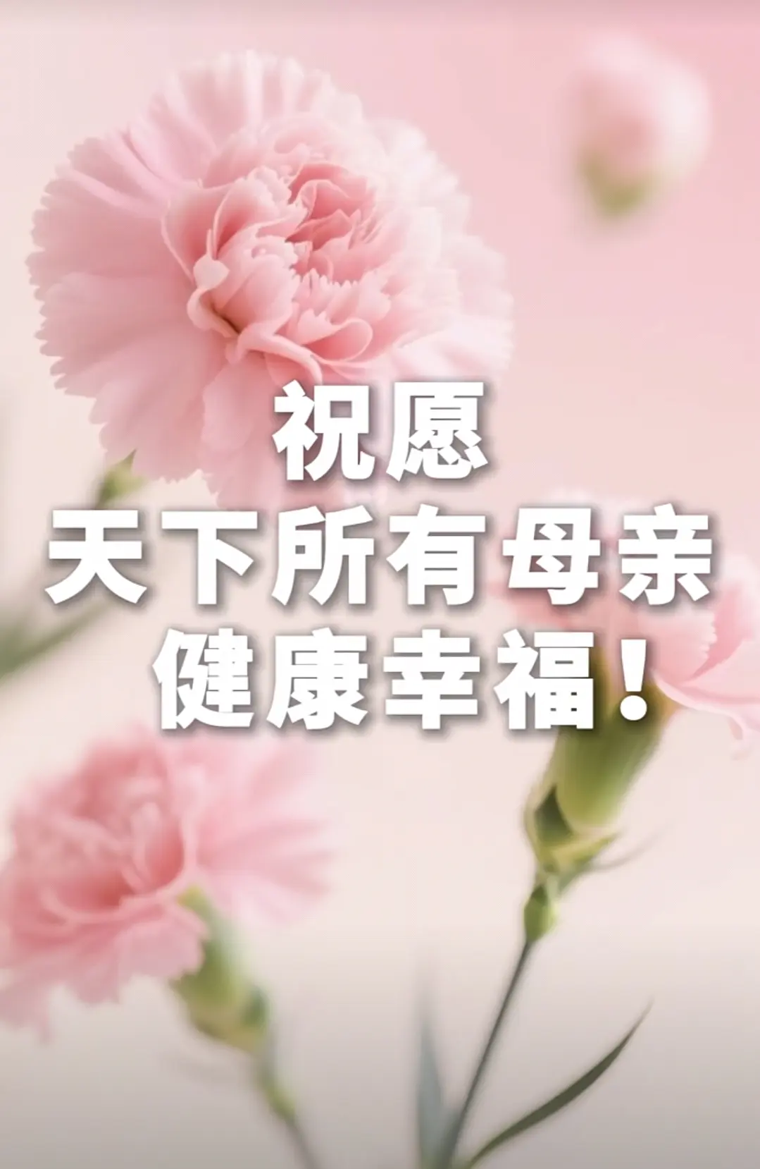 知名诗人严宗碧老师母亲节佳作与君共赏（图3）