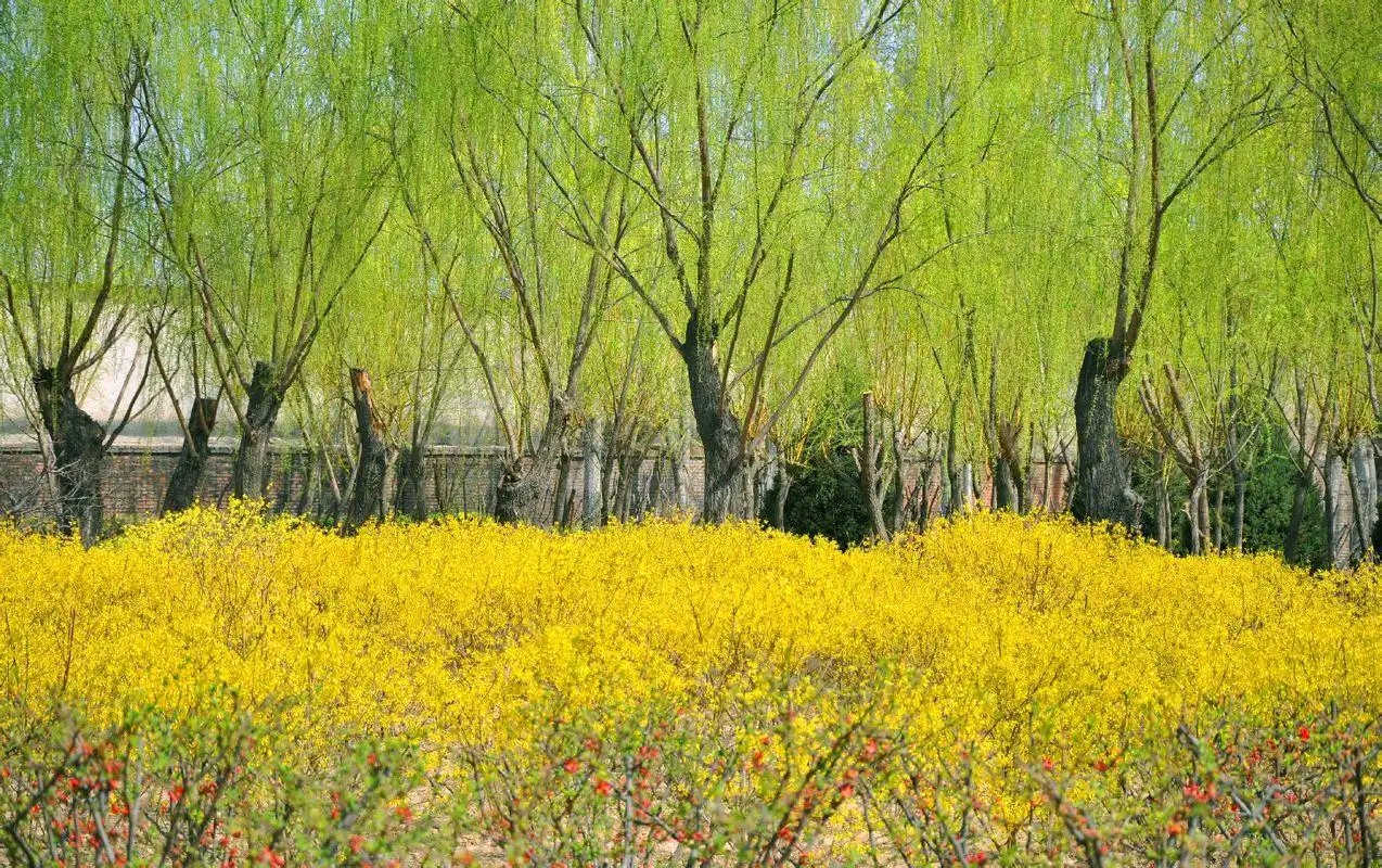 五律·春田即事 作者:李长春（图2）
