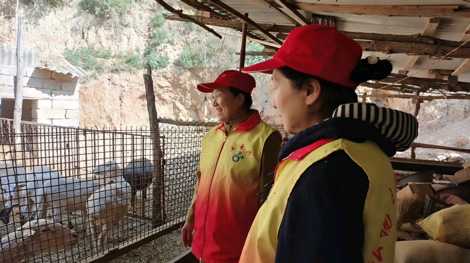 志愿走访农户 点亮乡村养殖致富路（图4）