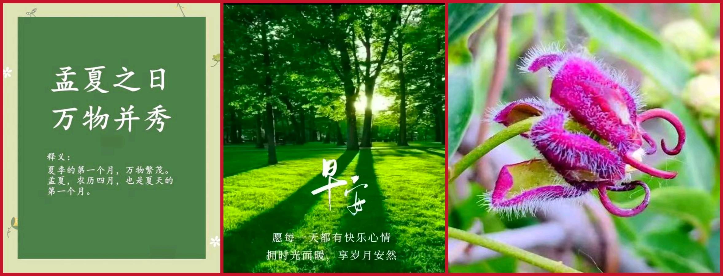 【经典推荐】鲁坡//七律•春归何处+诗酒趁年华[名言警句]系列作品展（图5）