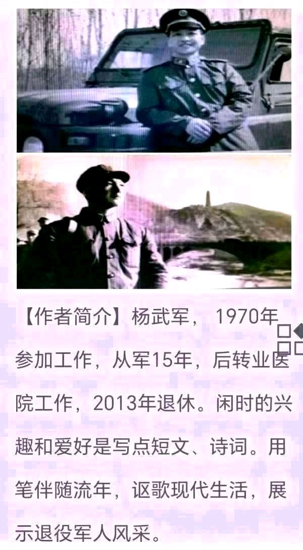 【经典推荐】杨武军//月季花（图5）