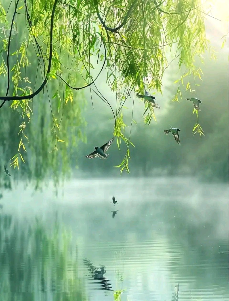 七律·龙山夏之梦 作者:刘海芹（图4）