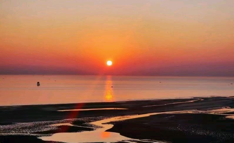 沙漠里面一粒沙