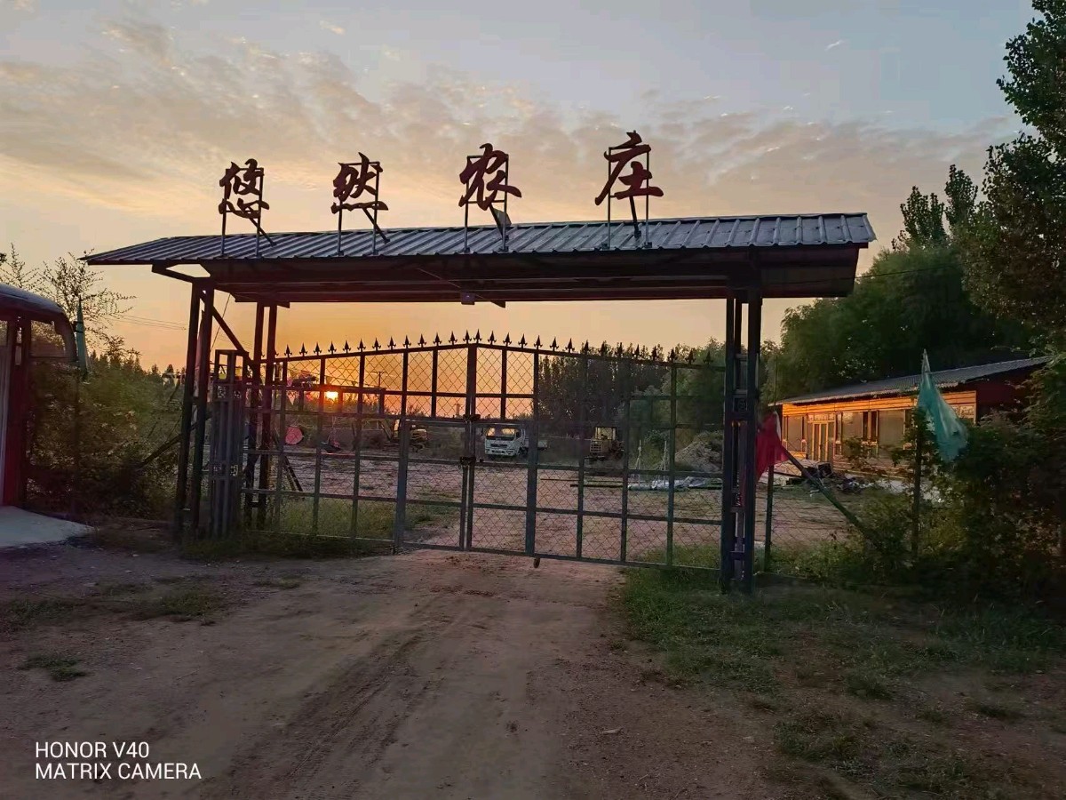 【燕赵文学】采风手记：这么近，那么美，亲子悠然张安北（张金臣/河北）