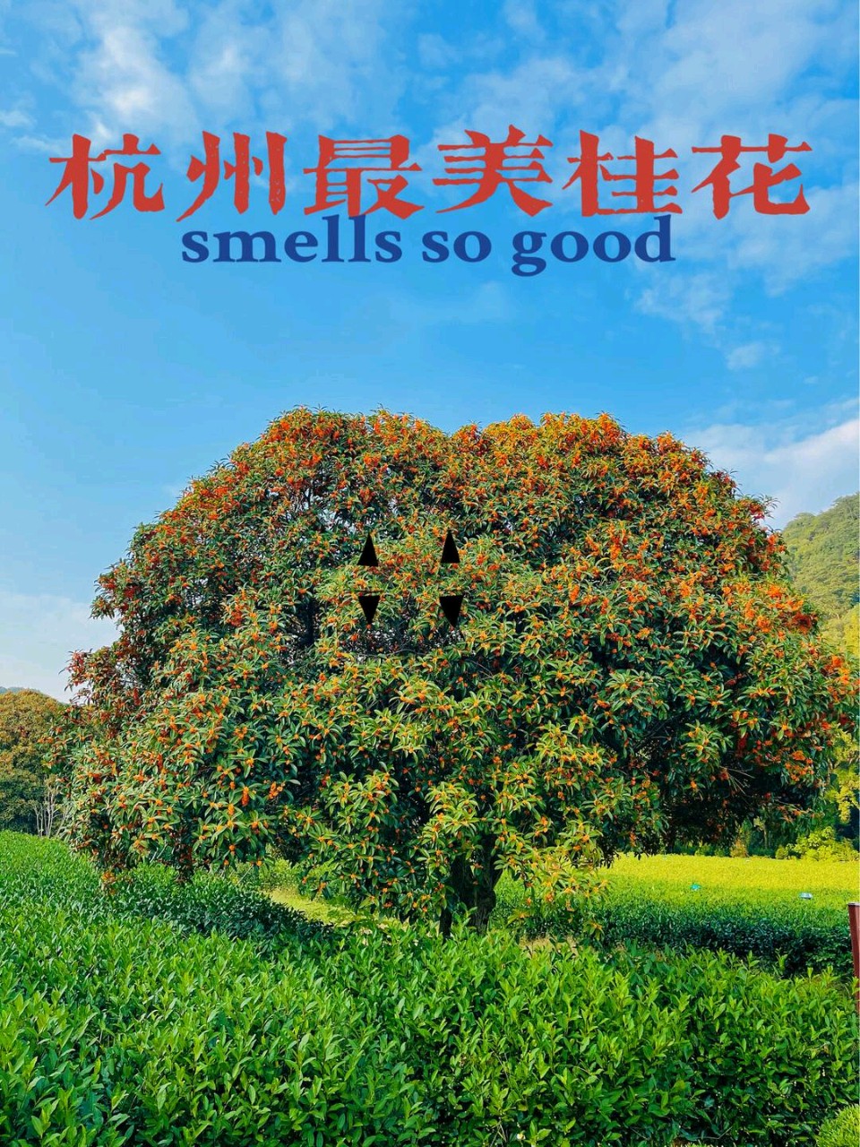 🇨🇳【中国诗人】第1438篇（名家风采）古城墙，你爱着护城的河（外一首）//文:梁子（图5）