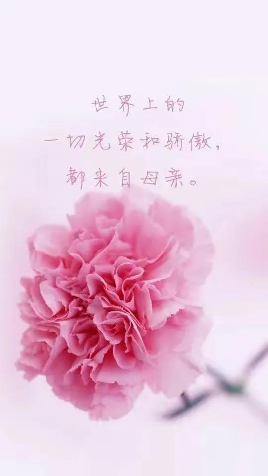 【燕赵文学】词三首：致敬母亲节（新韵）（河北/北河）