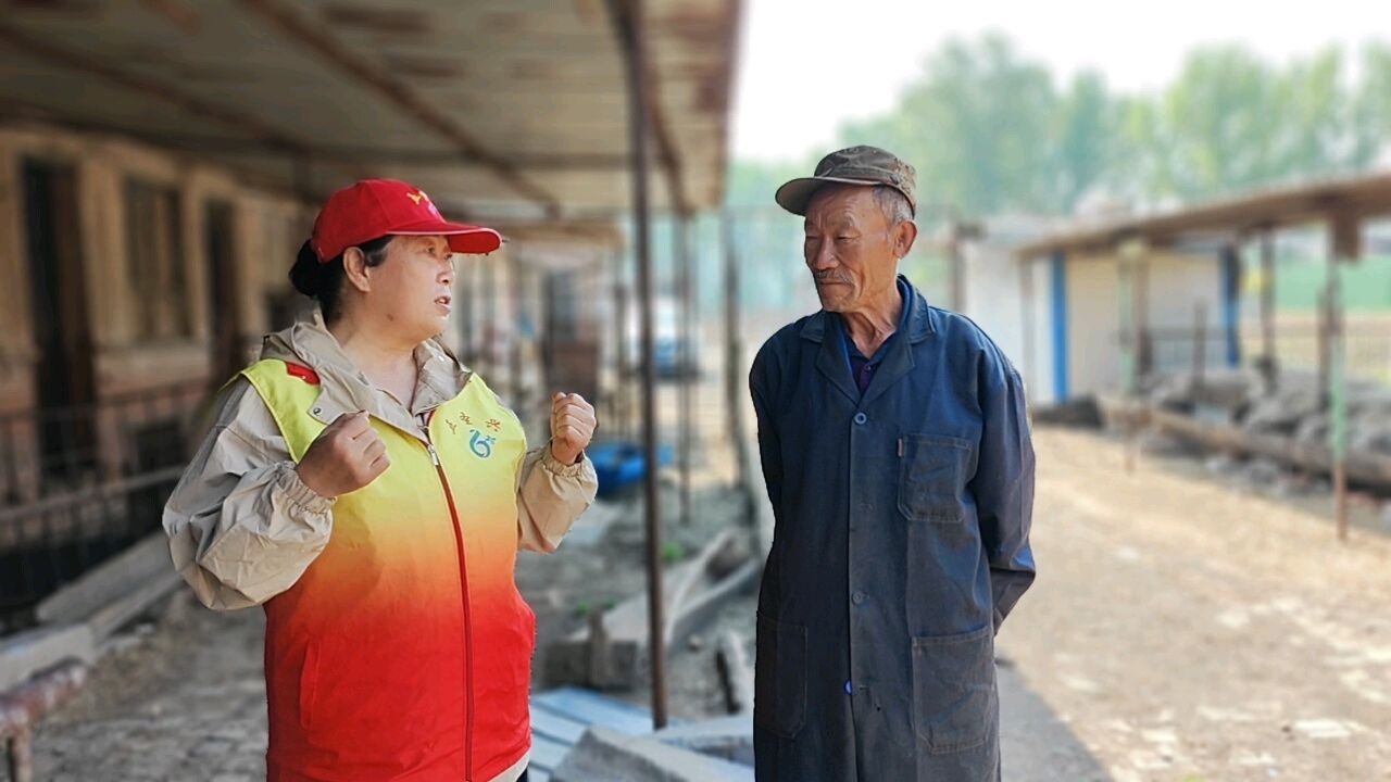 羊场调研听心声 志愿助农解民忧（图4）