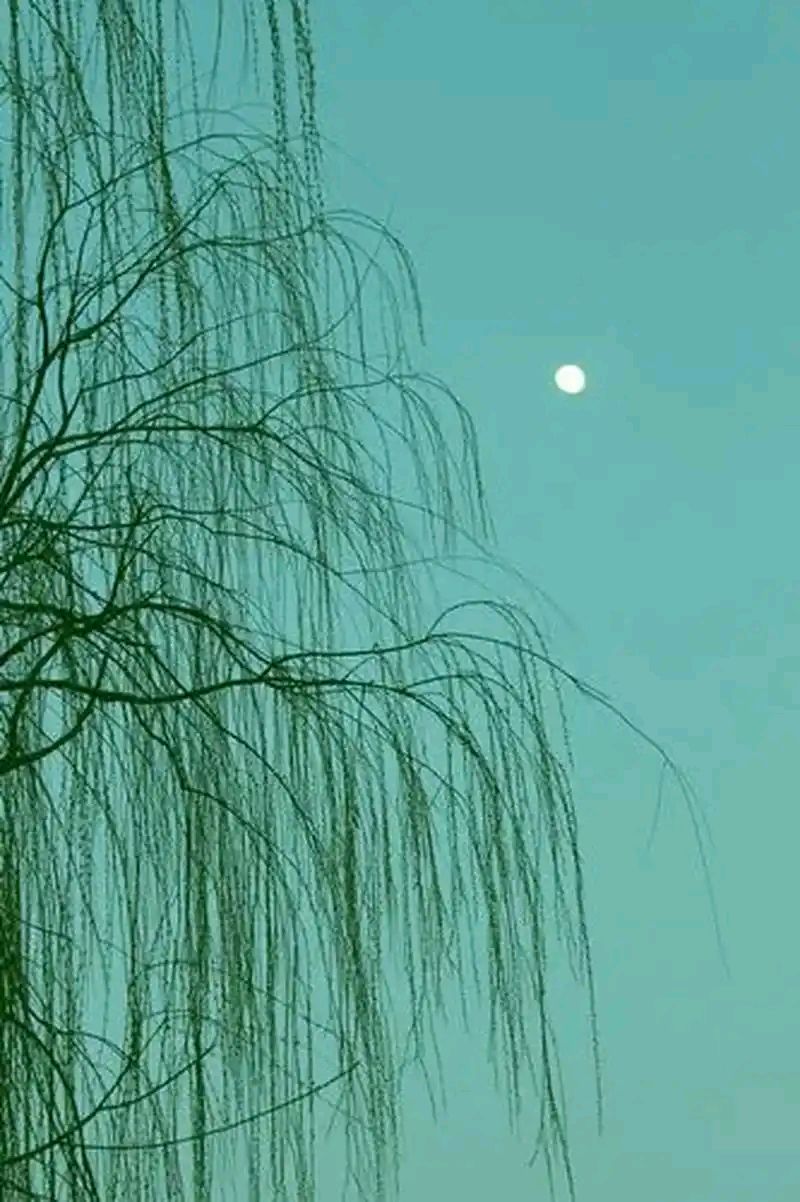 秦世忠:诗歌选粹||巴彦诗协【1148】(图12)
