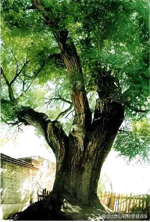 秦世忠:诗歌选粹||巴彦诗协【1148】(图13)