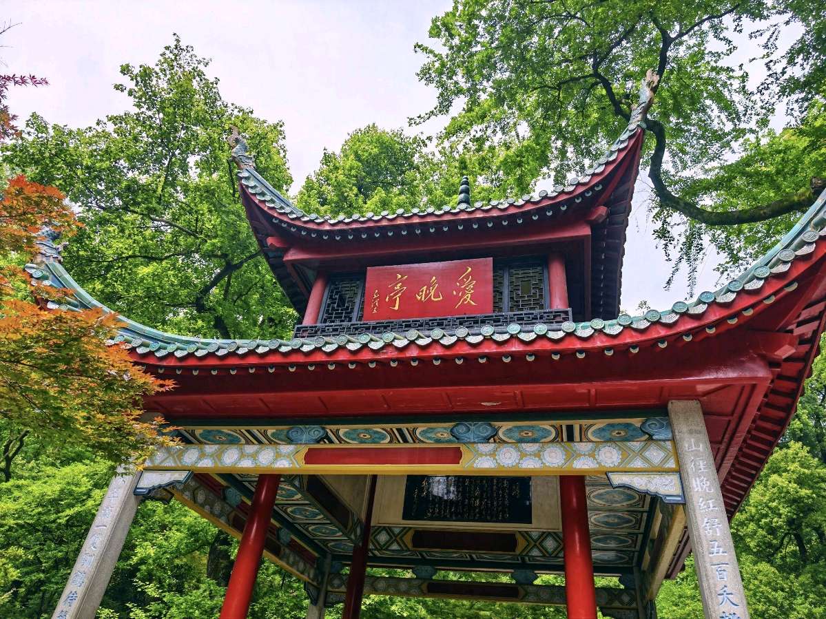 山河壮美话名亭爱晚亭 文/苟双进（图3）