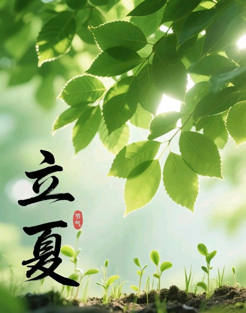 张昕丙午立夏诗词三首（图4）