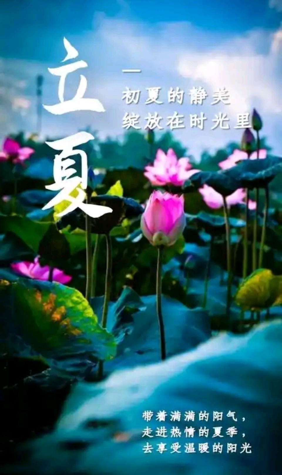 张昕丙午立夏诗词三首（图9）