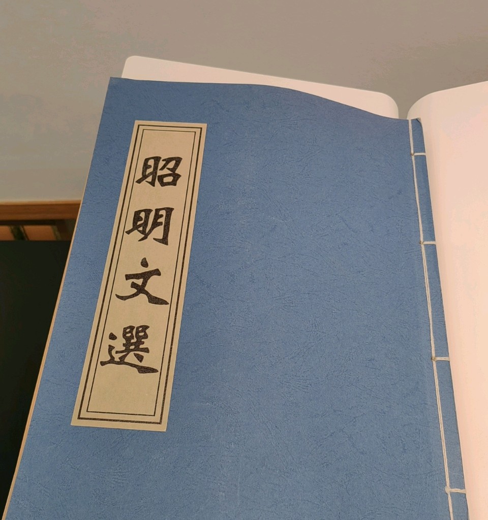 七律 . 昭明文选/江冲（图12）