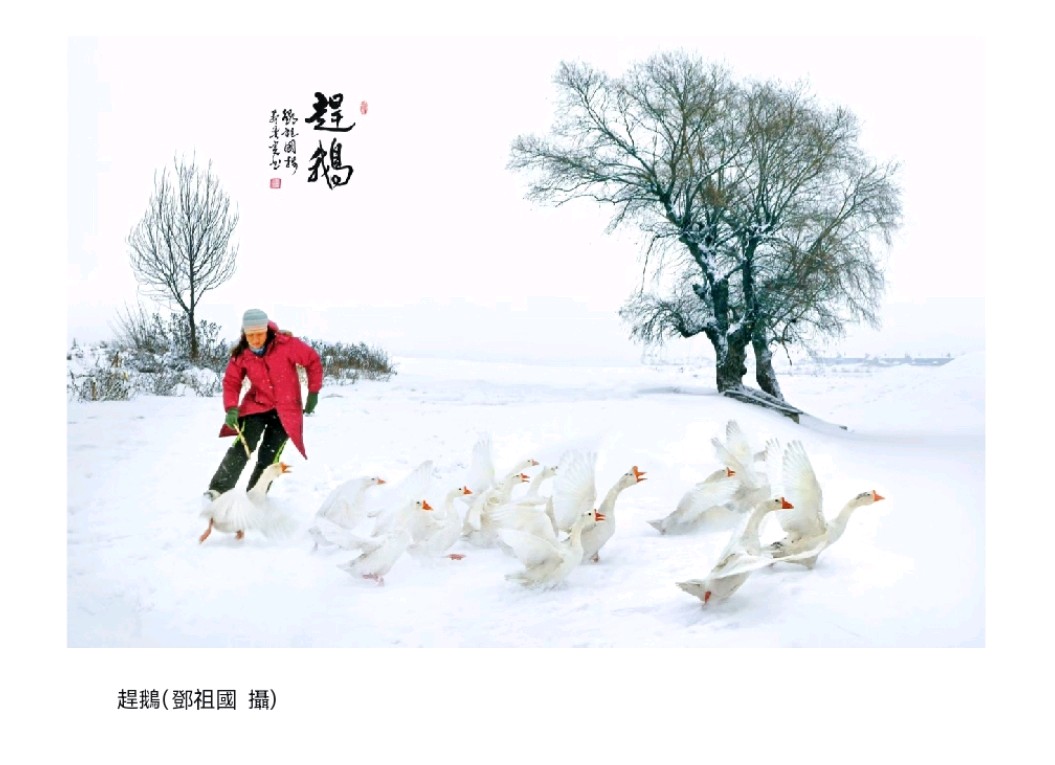 七字真言.鄧祖國「光色圖美題難創」的影像美學與藝術本體論|木子小姐（香港）（图3）