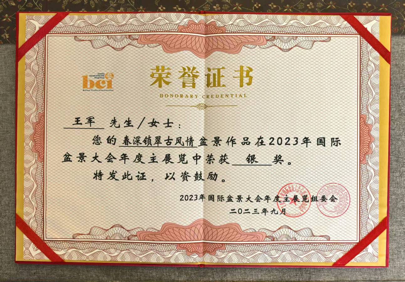 江西盆景名家王军参展作品《溪山清趣》在全国“工”小品盆景春季展中获得金奖（图15）