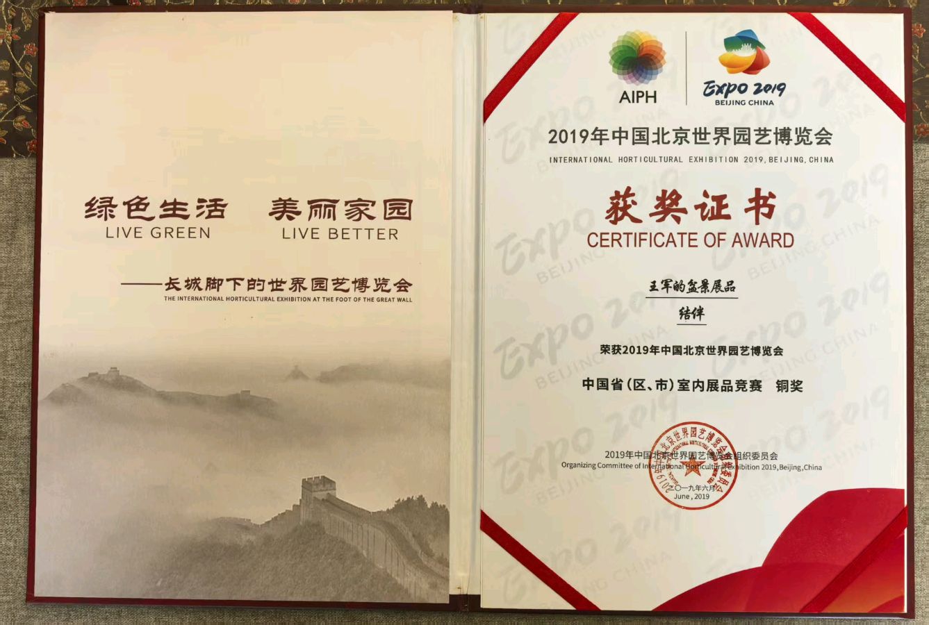 江西盆景名家王军参展作品《溪山清趣》在全国“工”小品盆景春季展中获得金奖（图10）