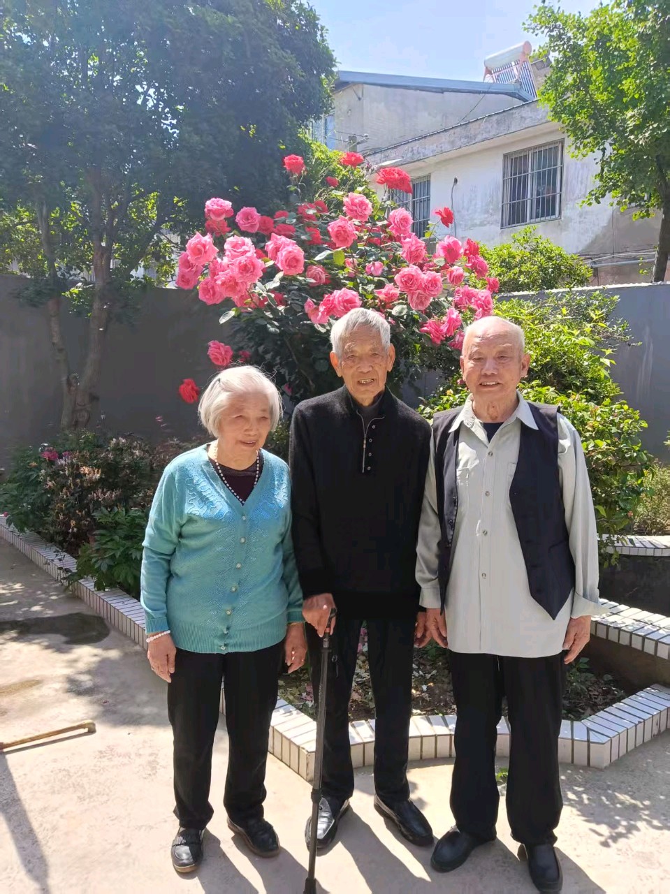 在老干部姜达昌大队长庭院赏月季花感吟/作者：戴建中（图6）