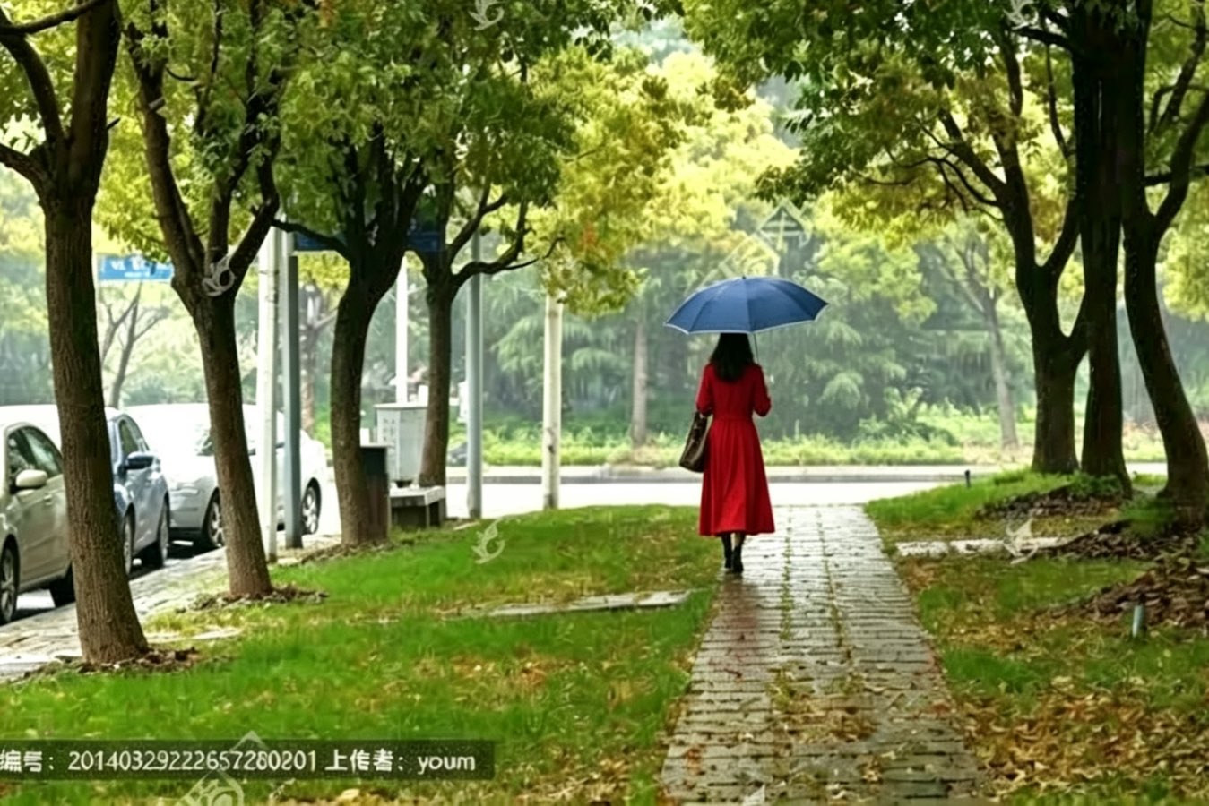 海外头条：汪志成《迎着风来的方向》朗诵：琪琪（图7）