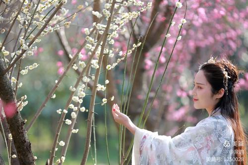 【童华专集】梦见你的那一夜(组诗)文/童华（四川）（图2）