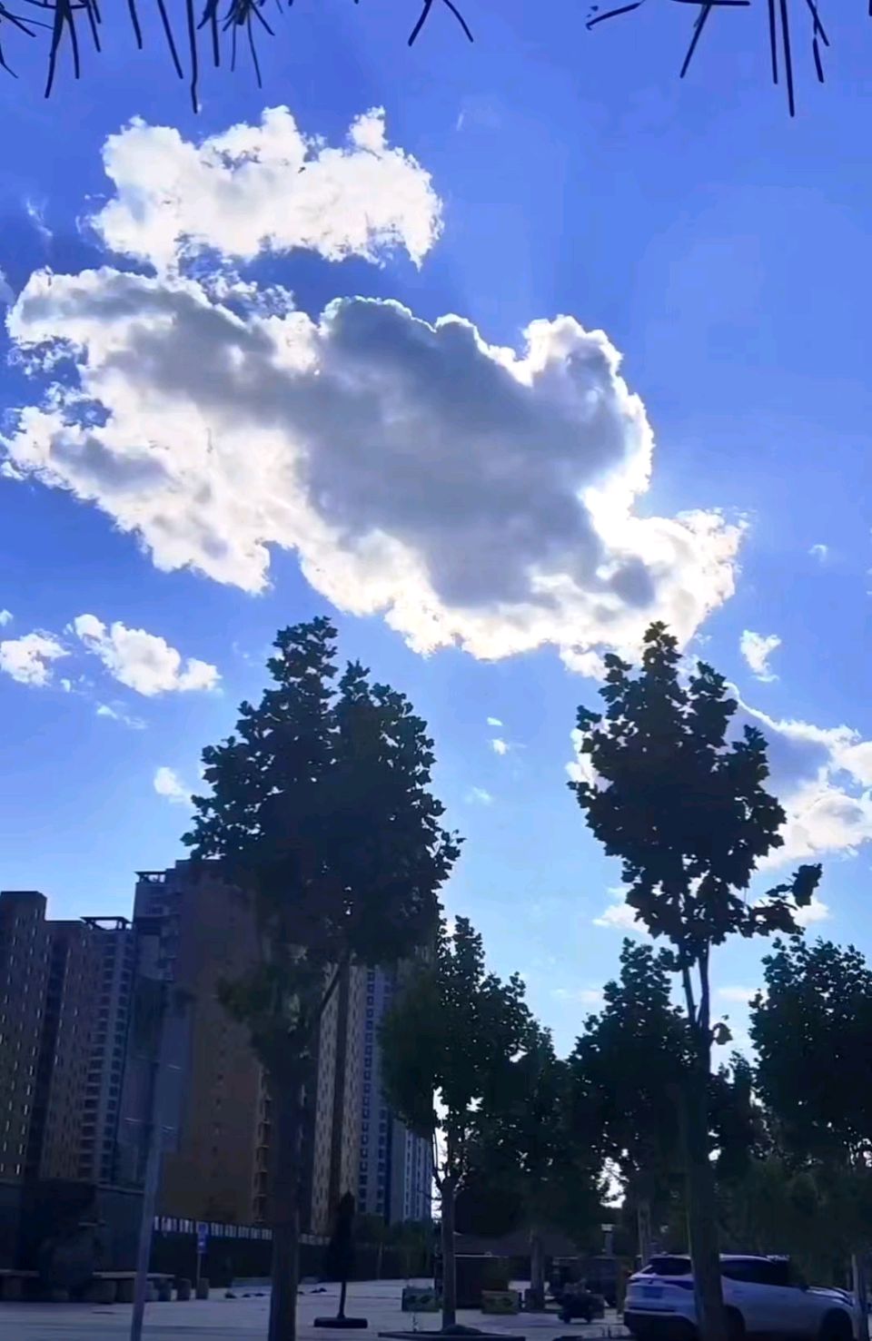 【七绝组诗十首】初夏风景 诗意人生/作者：平安是福（张福安）（图5）
