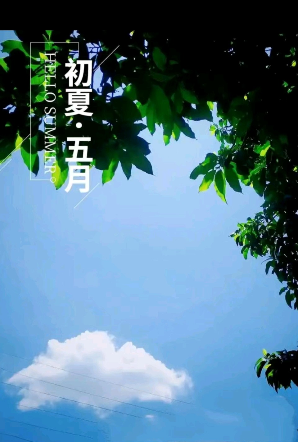 【七绝组诗十首】初夏风景 诗意人生/作者：平安是福（张福安）（图4）