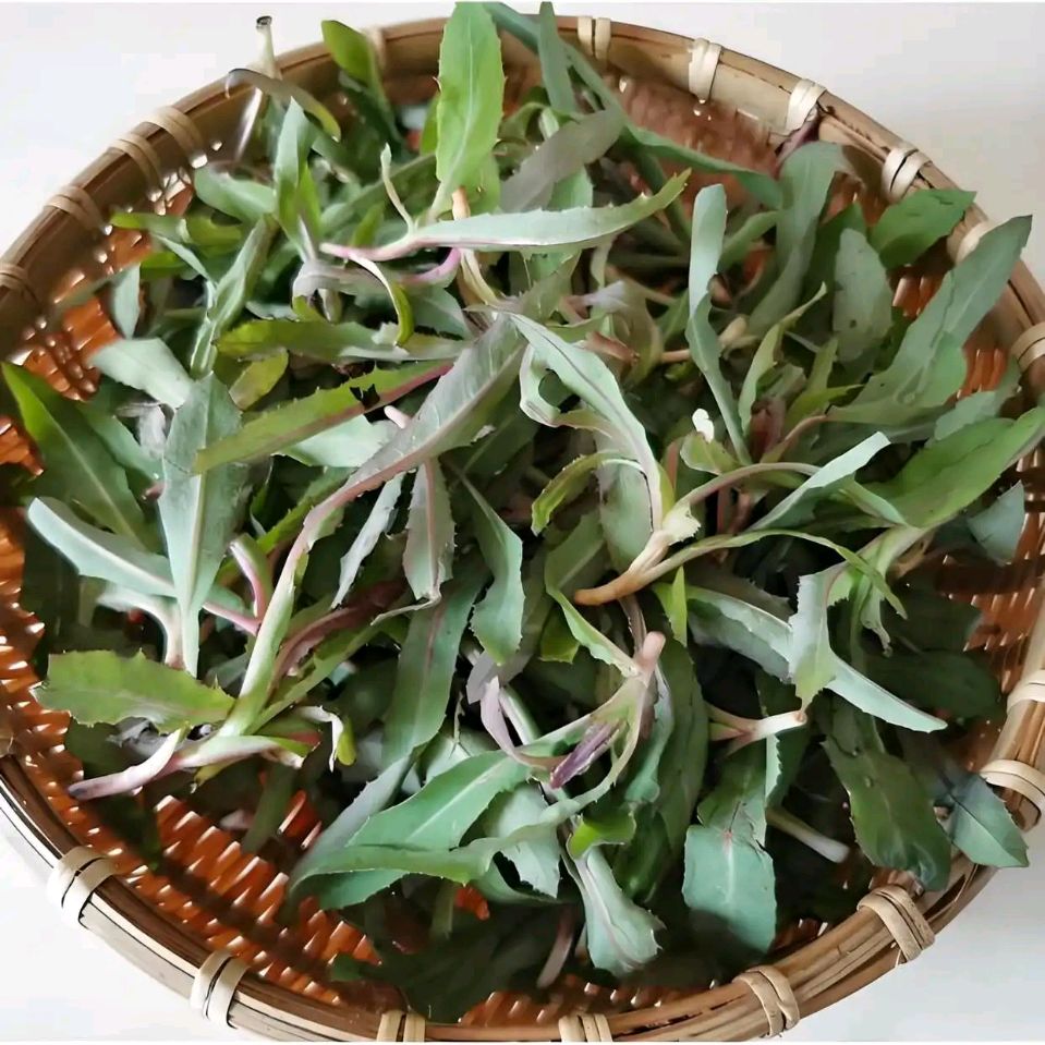《中华好诗词》隆重推出（陕西榆林）优秀诗人贺树元先生《七律.小滿有寄四首》敬请雅鉴（图6）