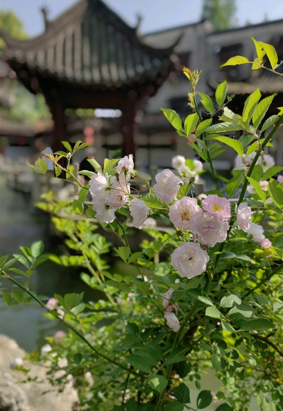 七律 . 米公祠(二首)文/江冲(图19)