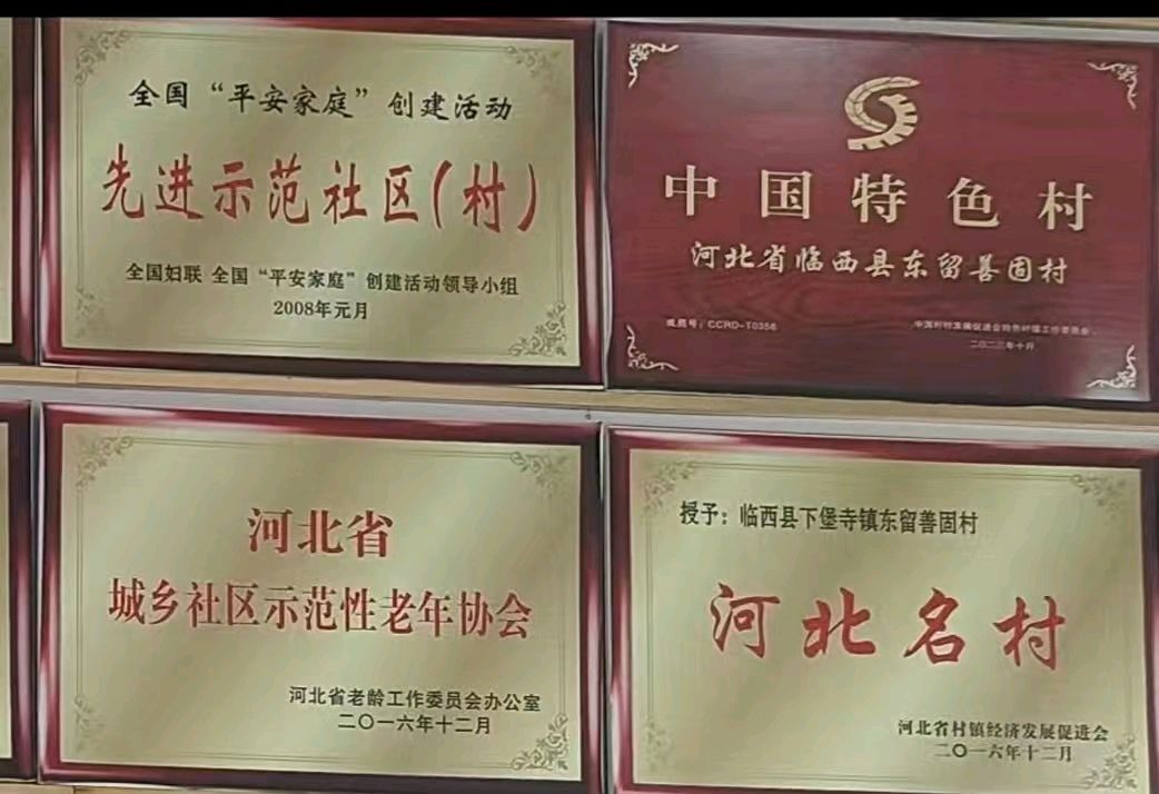 【燕赵文学】赓续玉兰精神，绘就振兴画卷（河北/任玉涛）（图5）