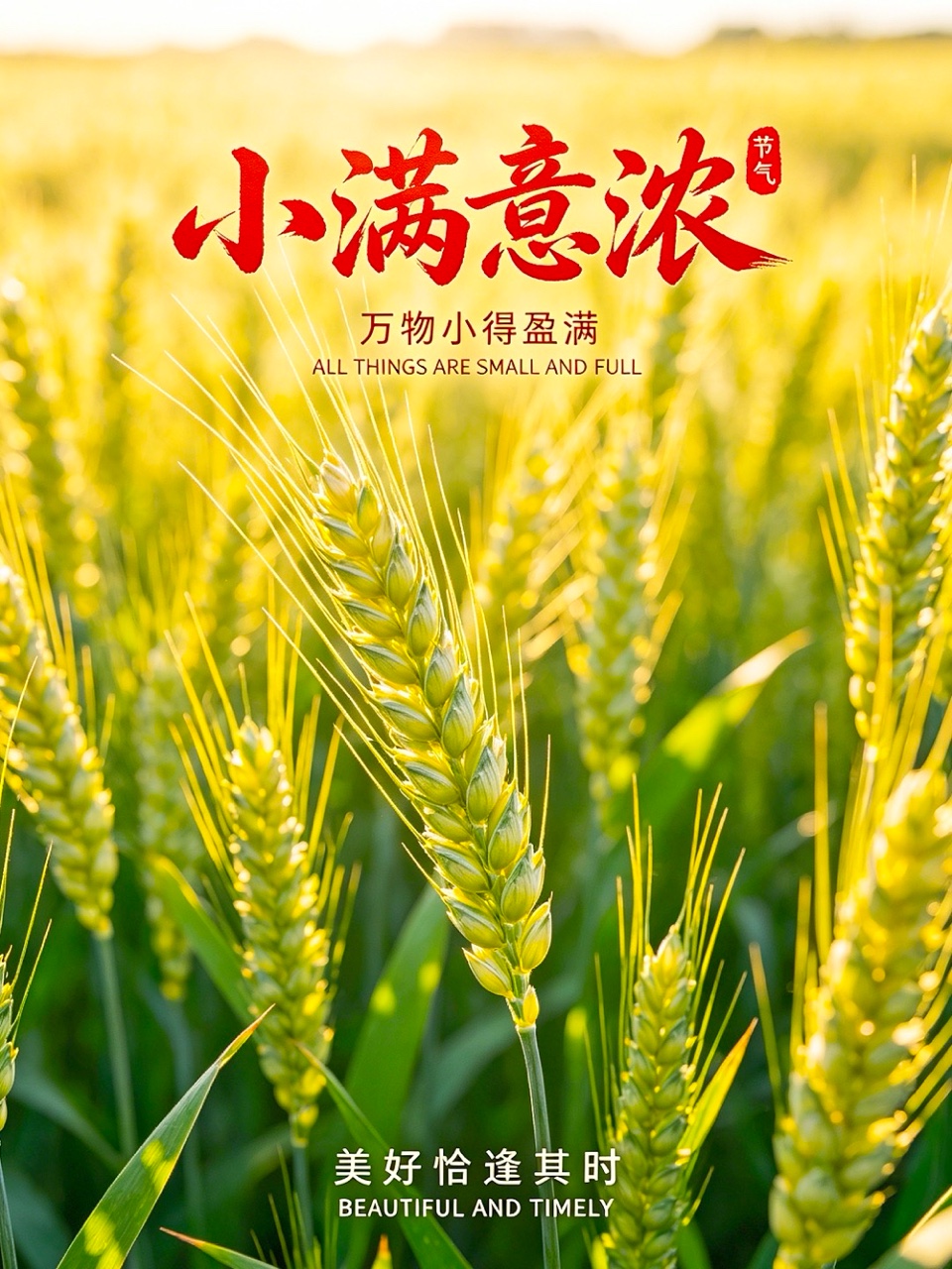 海外头条：《日历暗语遇小满》文/张君（图5）