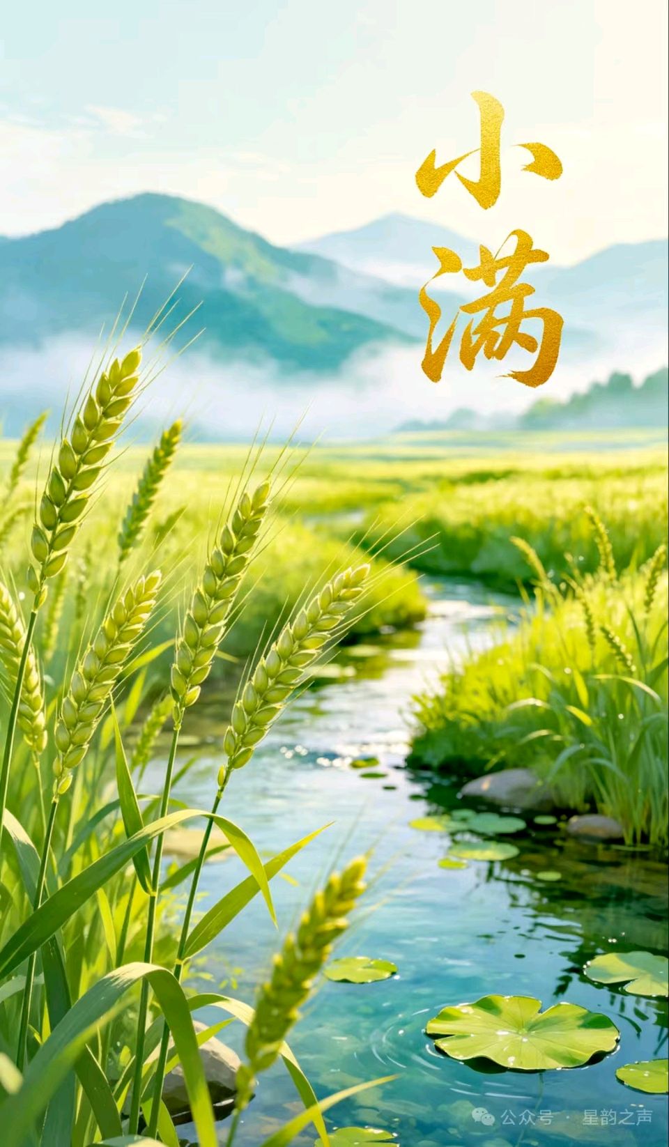 鹧鸪天·丙午小满日感吟/王福中（图2）