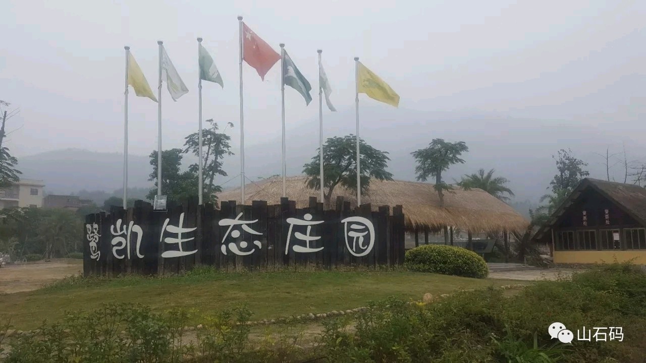 美仑美奂 '盛唐'的'双第'/梧闽（图2）