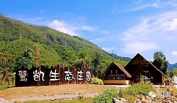 美仑美奂 '盛唐'的'双第'/梧闽（图19）