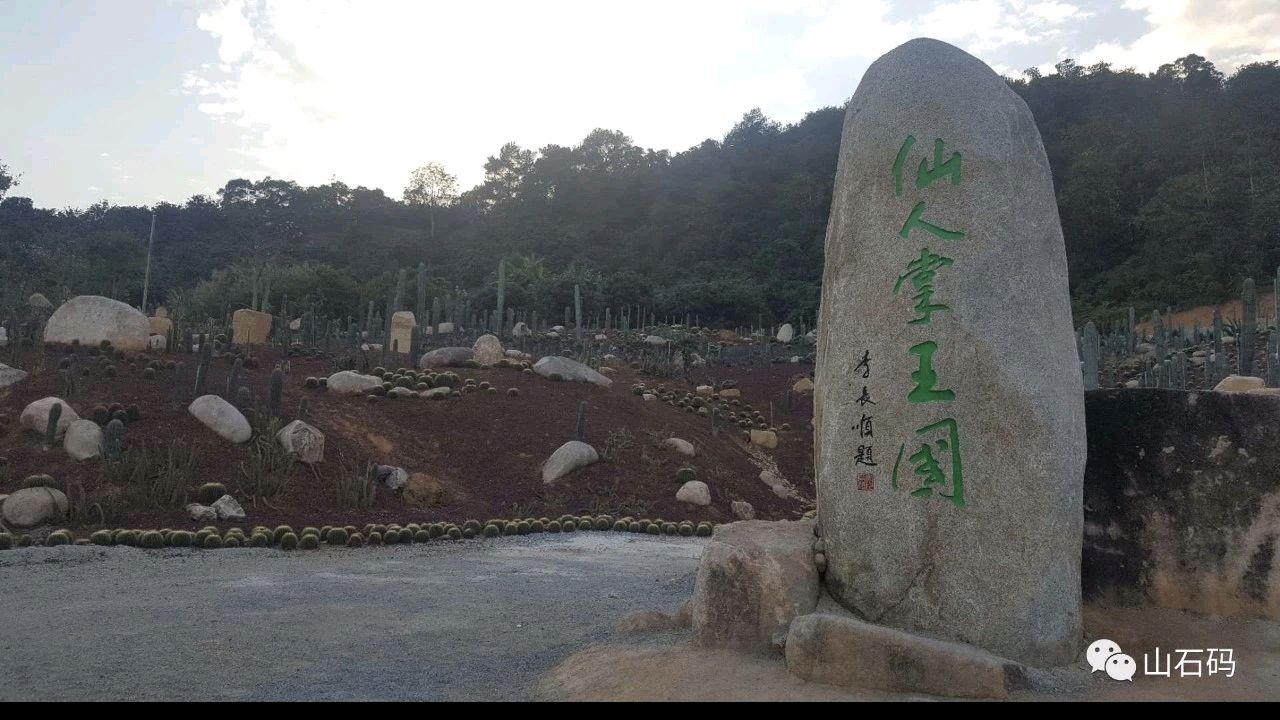 美仑美奂 '盛唐'的'双第'/梧闽（图34）