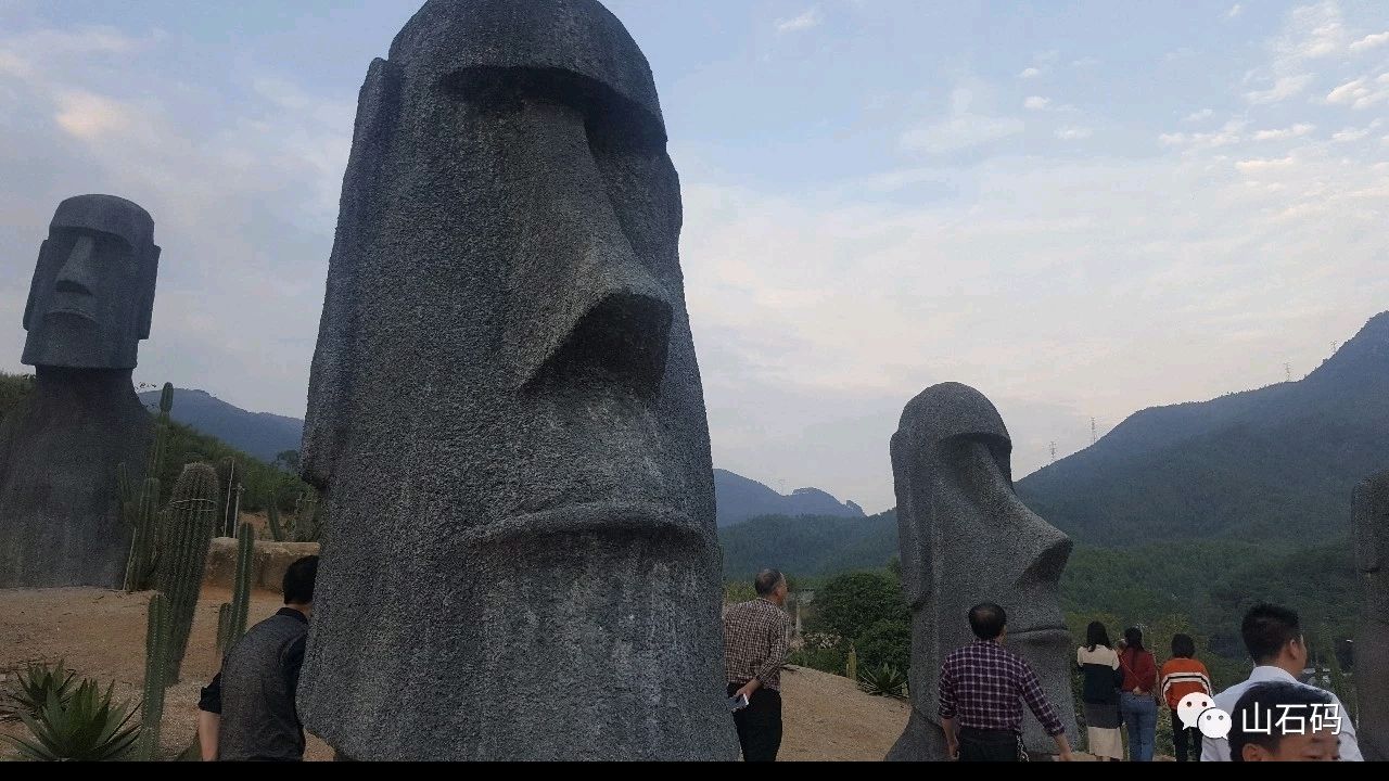 美仑美奂 '盛唐'的'双第'/梧闽（图36）