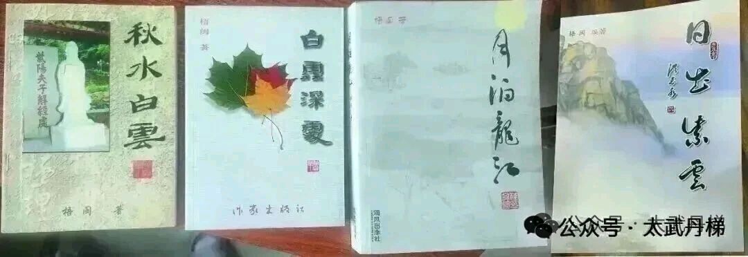 美仑美奂 '盛唐'的'双第'/梧闽（图52）