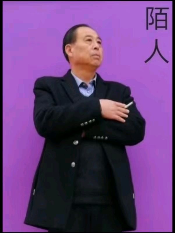 🇨🇳【中国诗人】第1651篇（名家风采）我已找不到那枚落日了//中国河南 荆随定 陌人（图5）