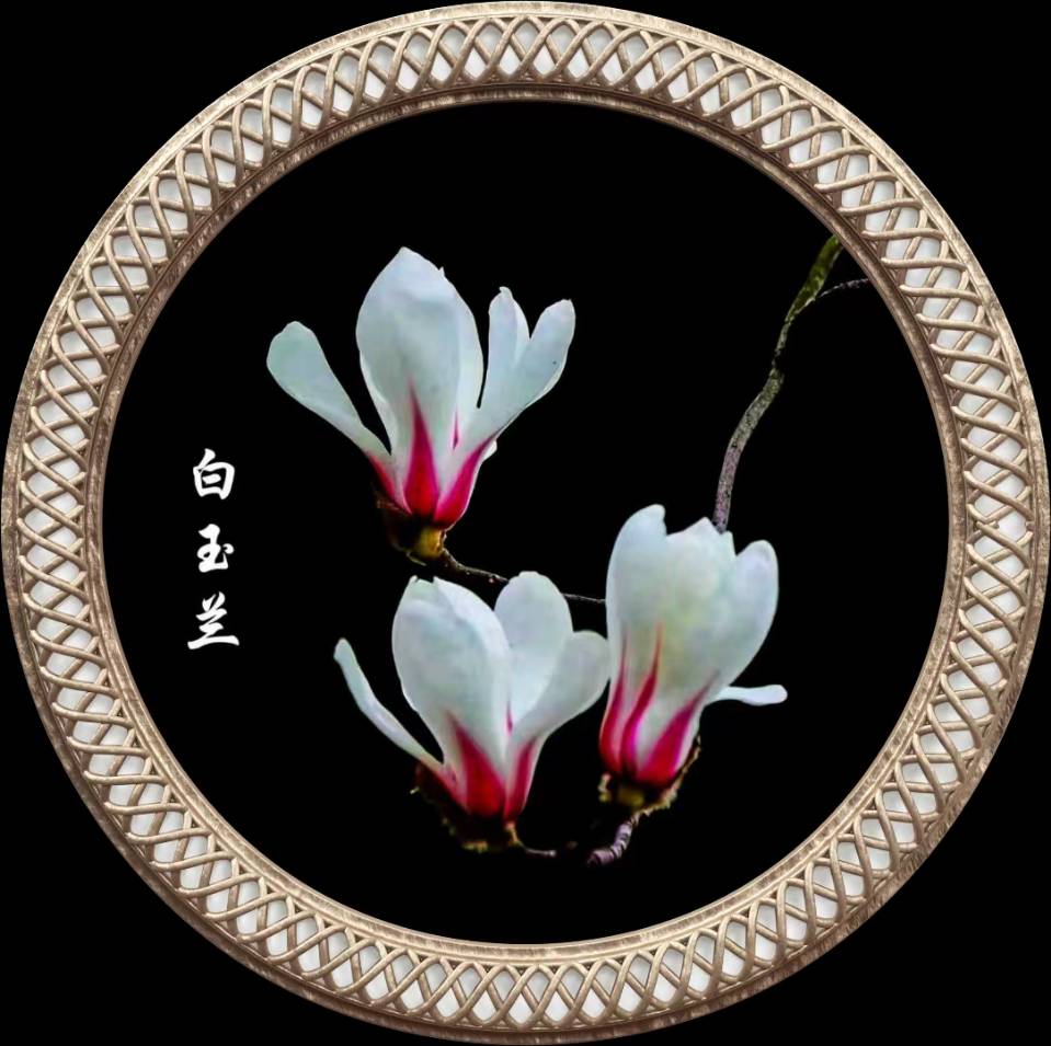 星月篇(74)，微诗六首，无言的温馨（图2）