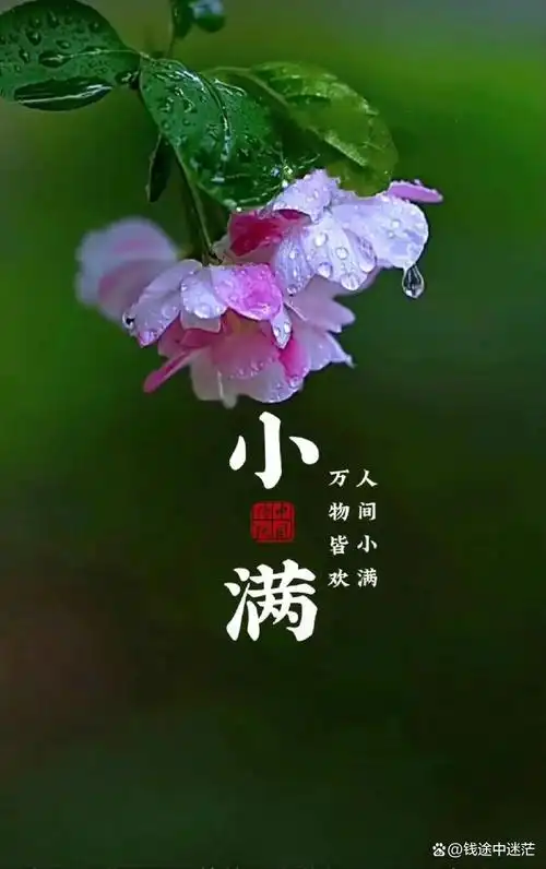 小满||巴彦诗协【1150】（图4）