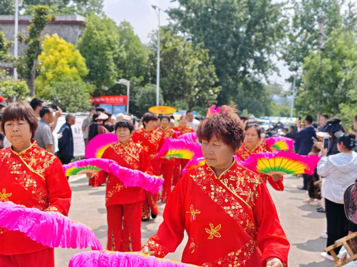 宝丰县：“杏”会小满盛景 情绘和美张沟