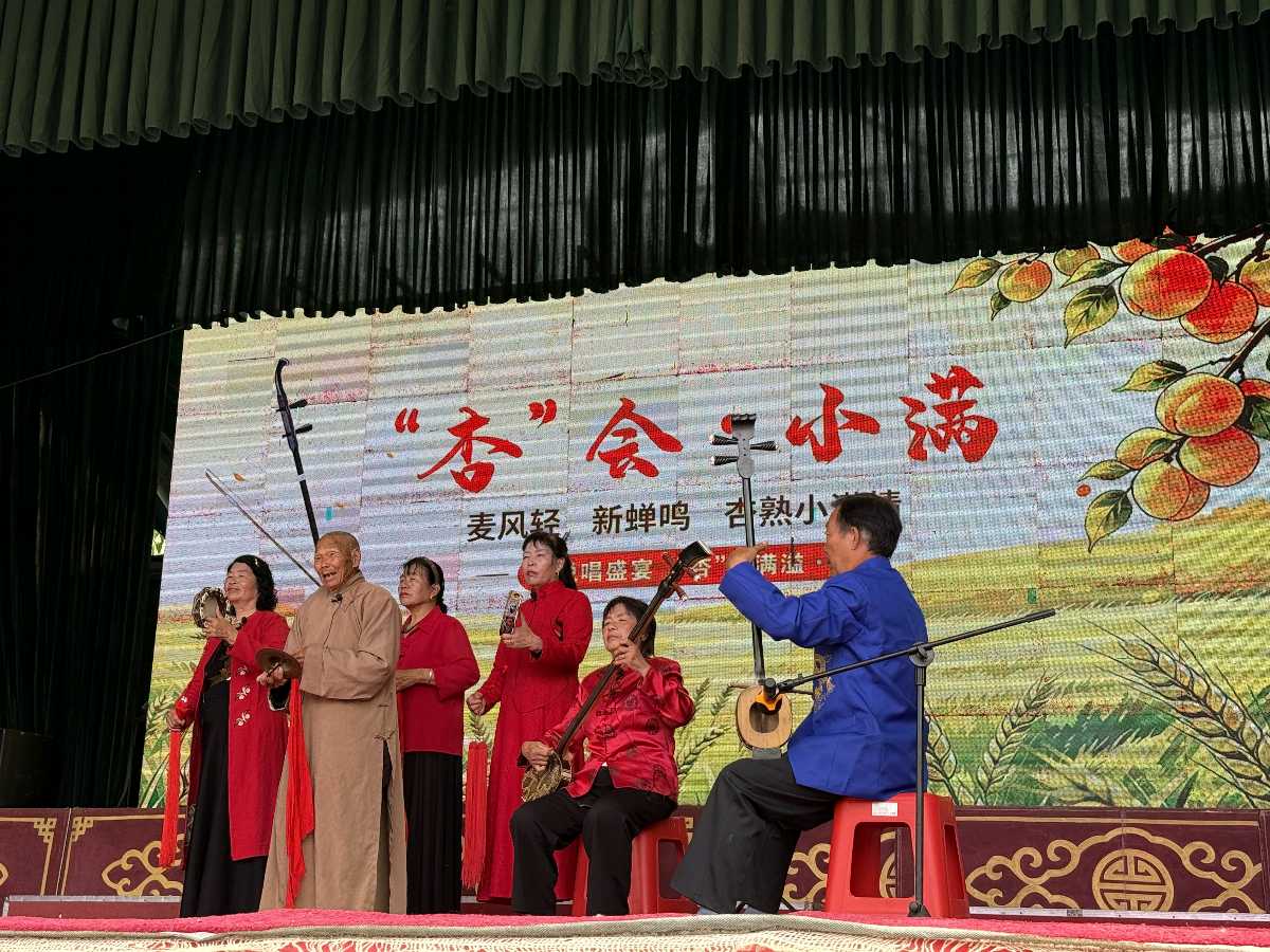 宝丰县:“杏”会小满盛景 情绘和美张沟(图3)