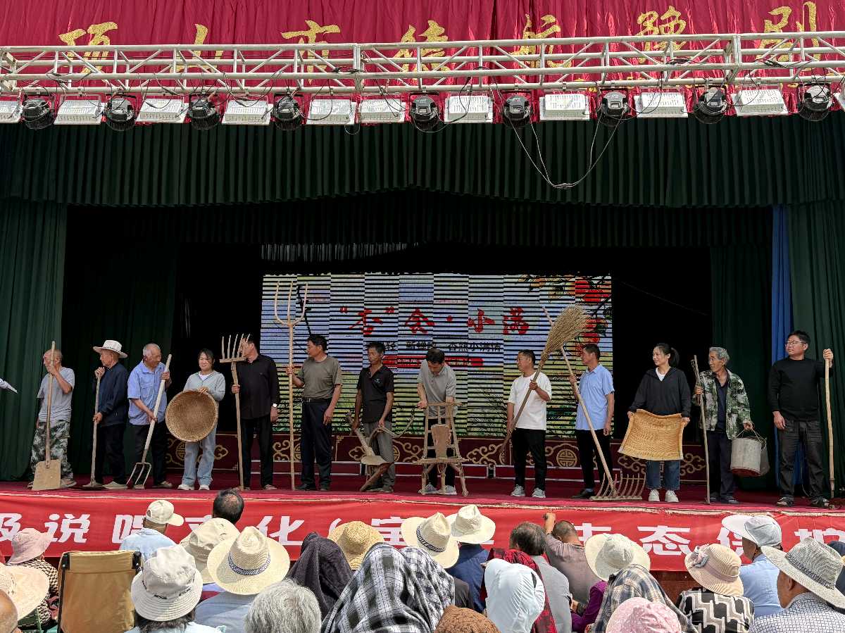 宝丰县：“杏”会小满盛景 情绘和美张沟（图5）