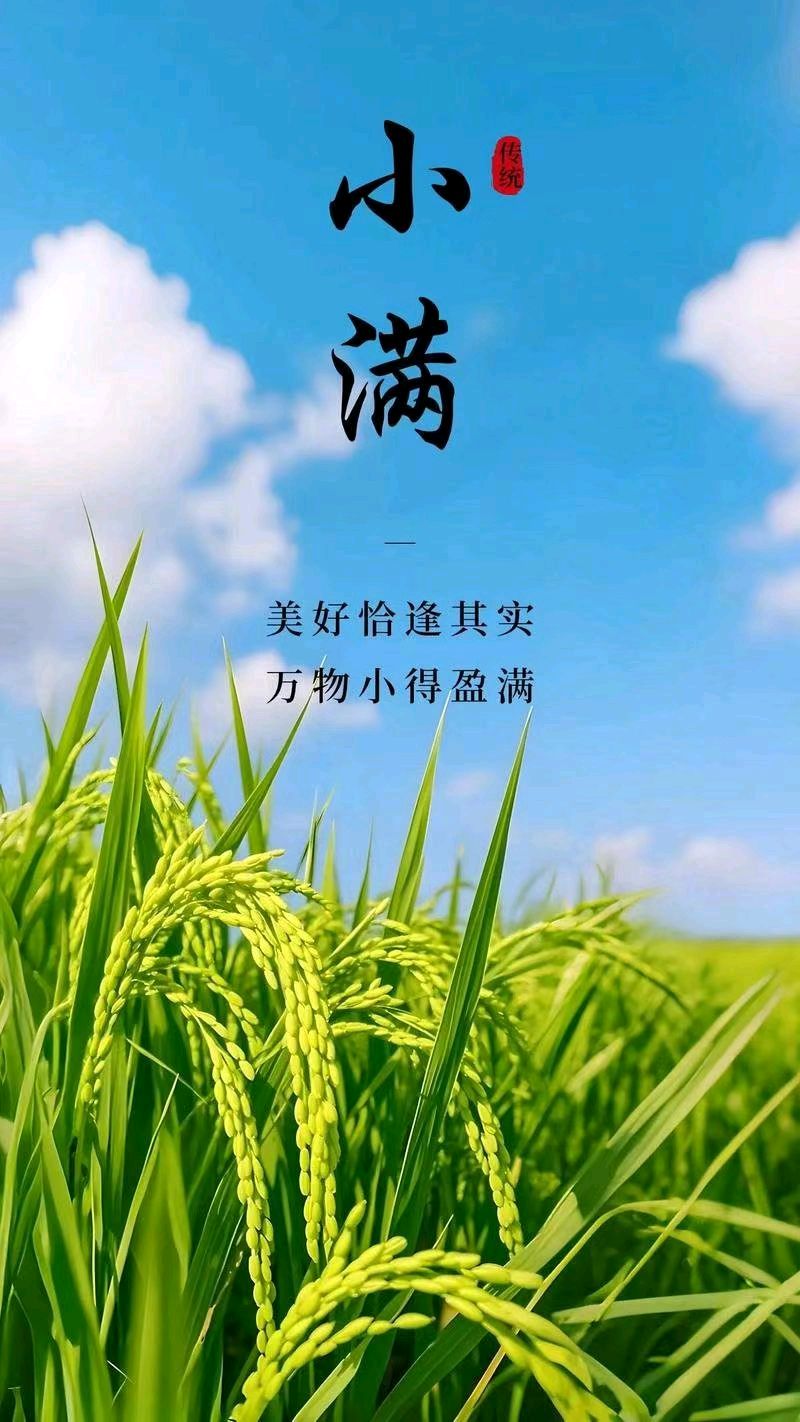 【荣耀中国】金华分社*优秀诗人张尚富诗词欣赏(图2)