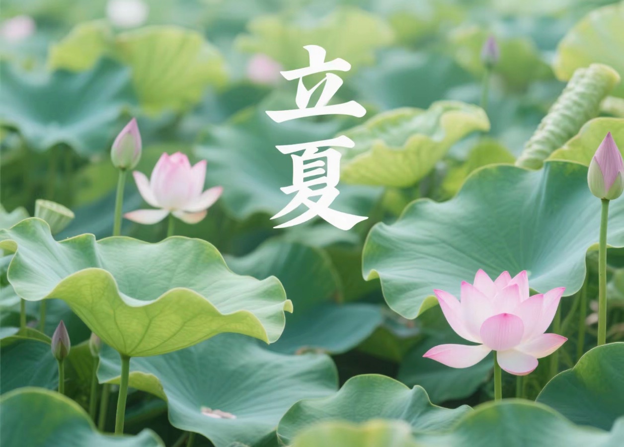 【新诗大观】立夏（外一首）||文/涅槃（天津）（图2）