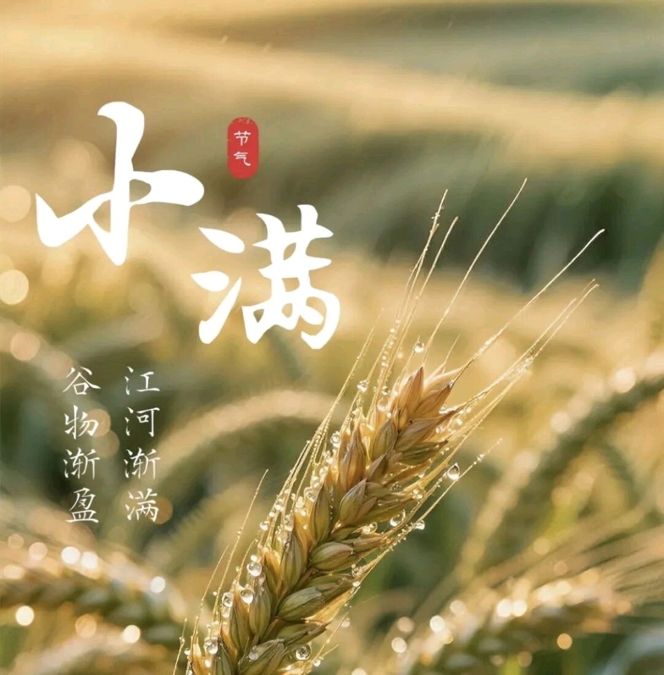 小满感吟金夜（兰州）（图3）
